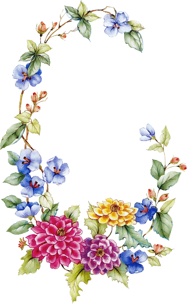 salut � tous le monde